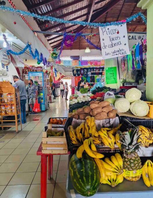 Casa Anuiti Centrica Ubicacion. Lejlighed San José del Cabo Eksteriør billede