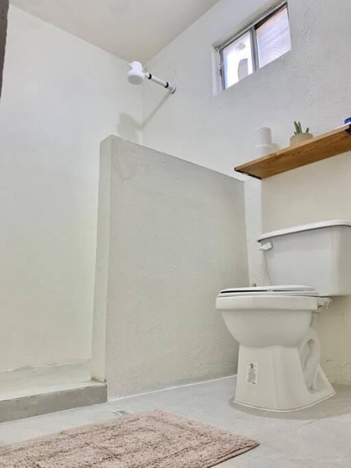 Casa Anuiti Centrica Ubicacion. Lejlighed San José del Cabo Eksteriør billede