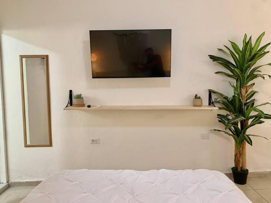 Casa Anuiti Centrica Ubicacion. Lejlighed San José del Cabo Eksteriør billede